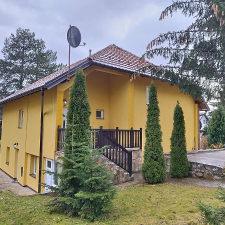 Apartmani Jokic Zlatibor Bagian luar foto
